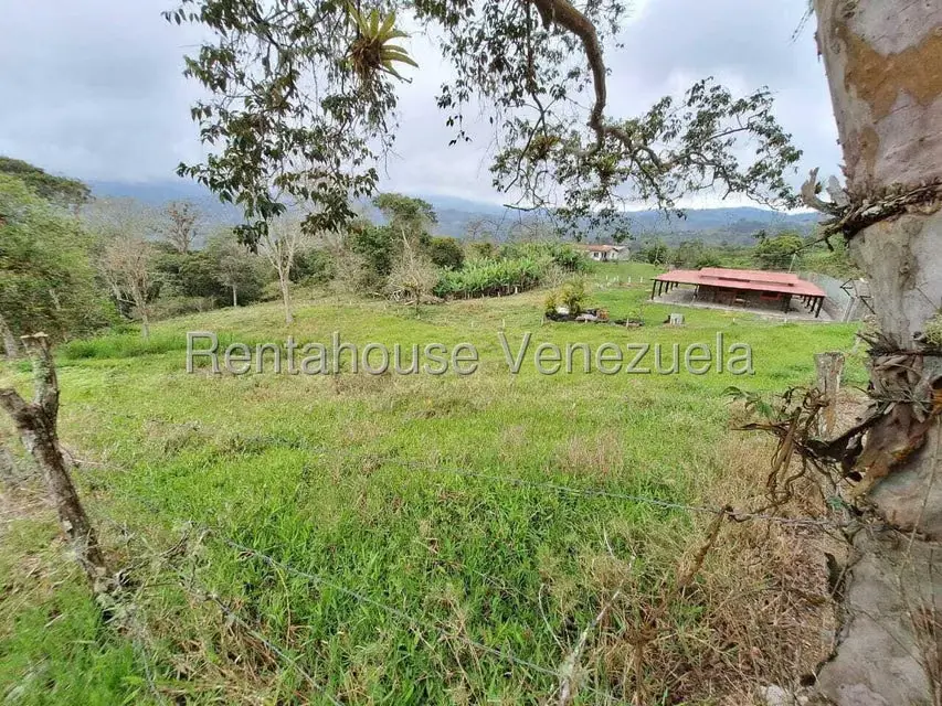 Terreno (Finca) en Venta en Buena Aventura, Merida - 11