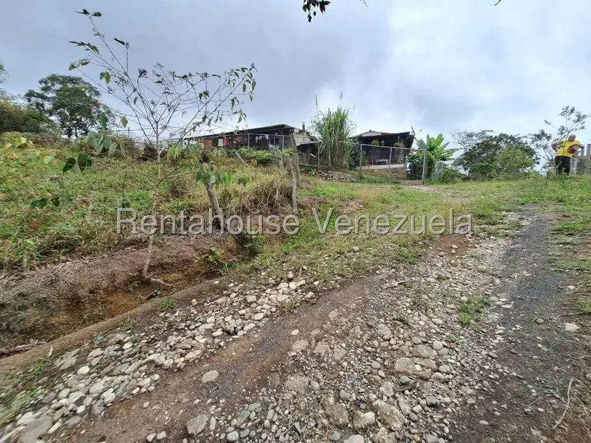 Terreno (Finca) en Venta en Buena Aventura, Merida - 12