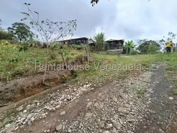 View 12