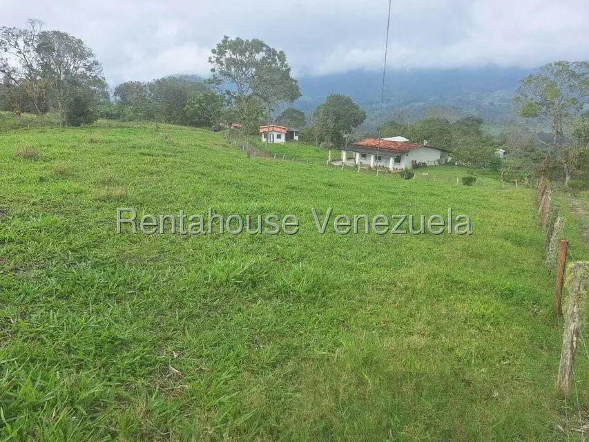 Terreno (Finca) en Venta en Buena Aventura, Merida - 13