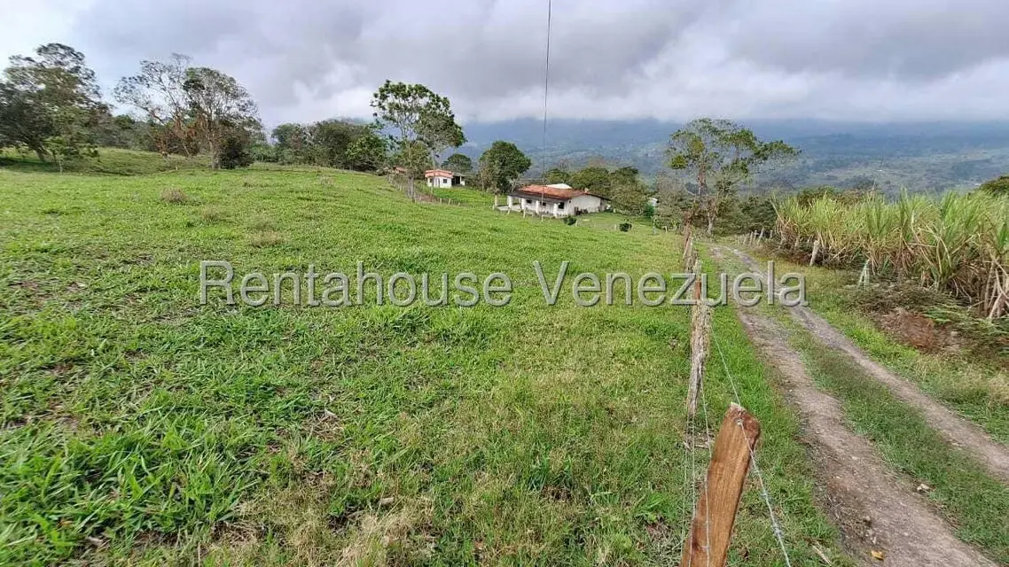 Terreno (Finca) en Venta en Buena Aventura, Merida - 14