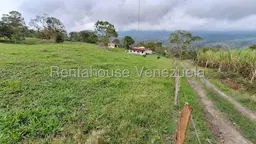 View 14