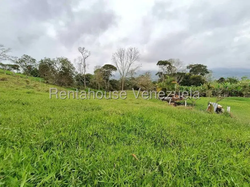 Terreno (Finca) en Venta en Buena Aventura, Merida - 15