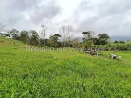 View 15