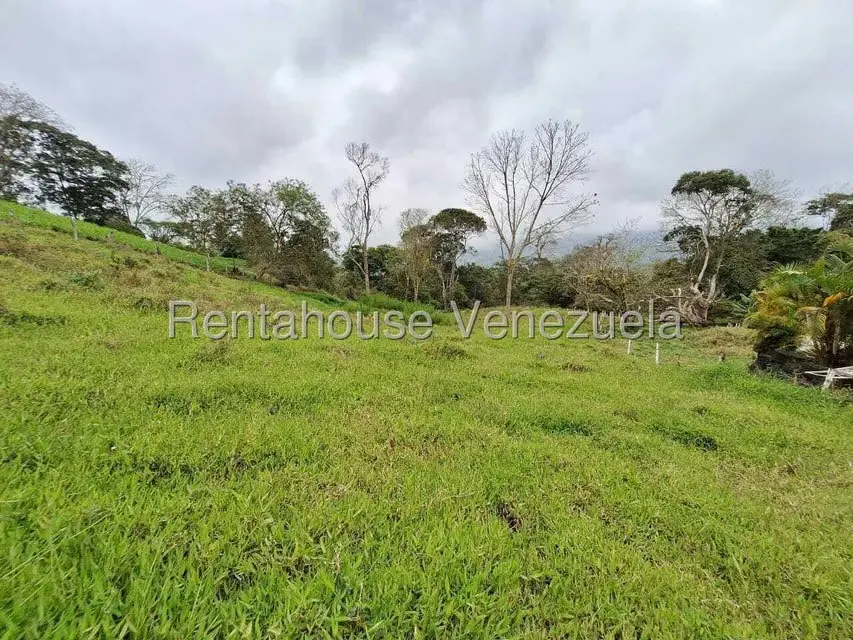 Terreno (Finca) en Venta en Buena Aventura, Merida - 16