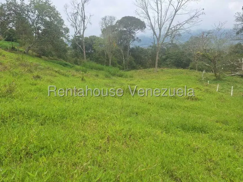 Terreno (Finca) en Venta en Buena Aventura, Merida - 4