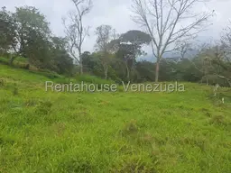 View 6