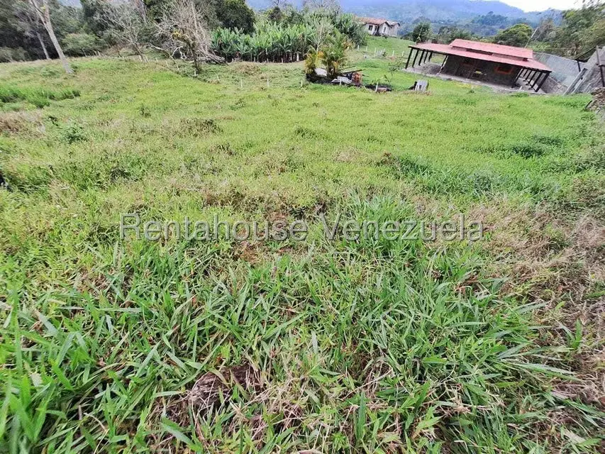 Terreno (Finca) en Venta en Buena Aventura, Merida - 7