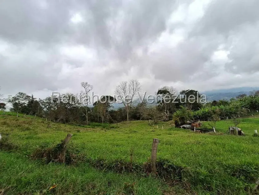Terreno (Finca) en Venta en Buena Aventura, Merida - 9