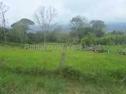 View 10