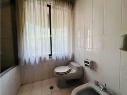 Vista 11