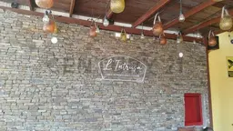 Vista 11