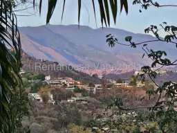 Vista 19
