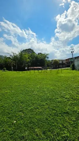 View 3