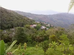 View 8