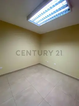Vista 5