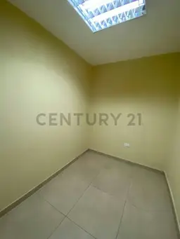 Vista 6