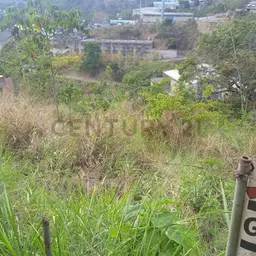 Vista 2