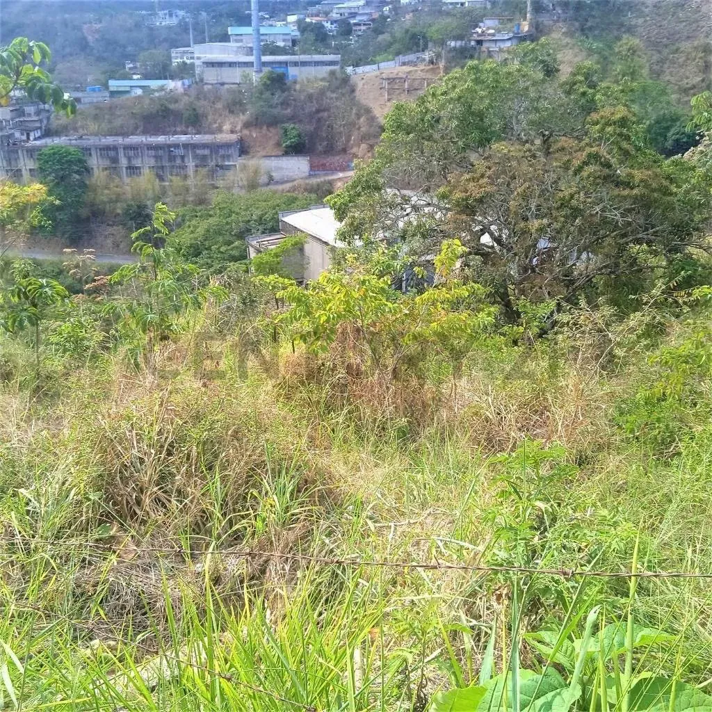 Terreno en venta Filas de Mariche - 3