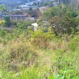 Vista 3