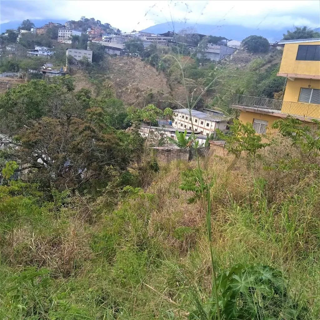 Terreno en venta Filas de Mariche - 4