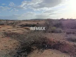 View 14