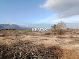 View 6