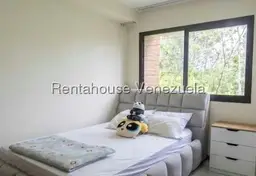 Vista 11