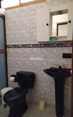 Vista 20