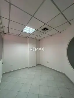 Vista 4
