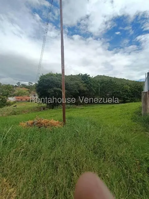 Comercial (Club Campestre) en Venta en Capacho Viejo, Tachira - 19