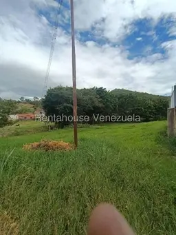 Vista 19