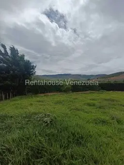 Vista 38