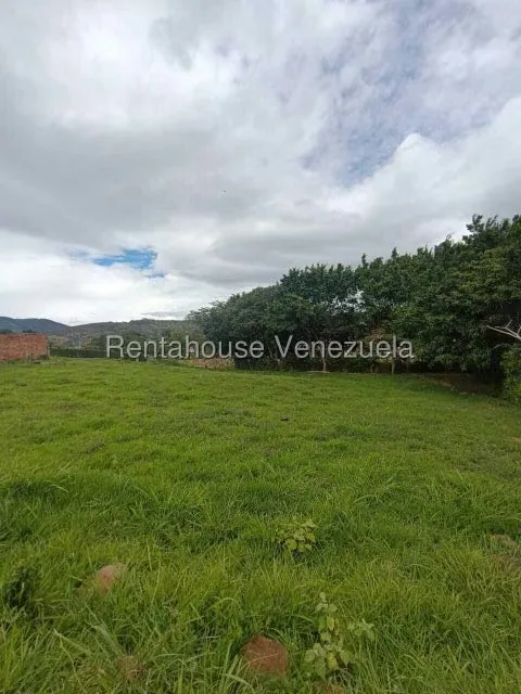 Comercial (Club Campestre) en Venta en Capacho Viejo, Tachira - 40
