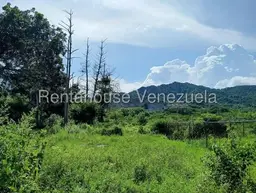View 22