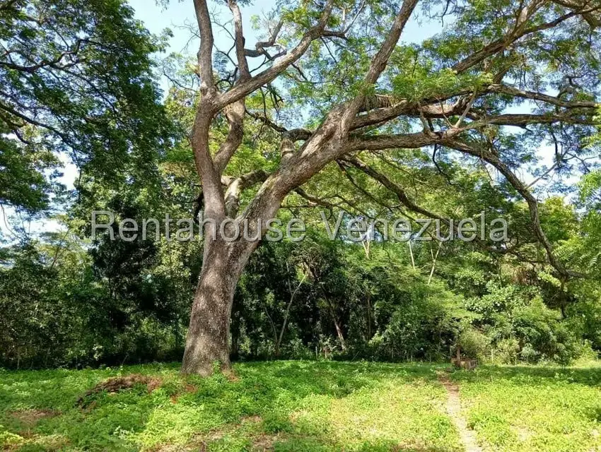 Terreno (Comercial) en Venta en Brisas de Jalisco, Trujillo - 23