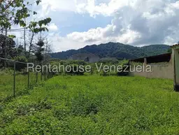 View 25