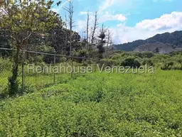 View 26
