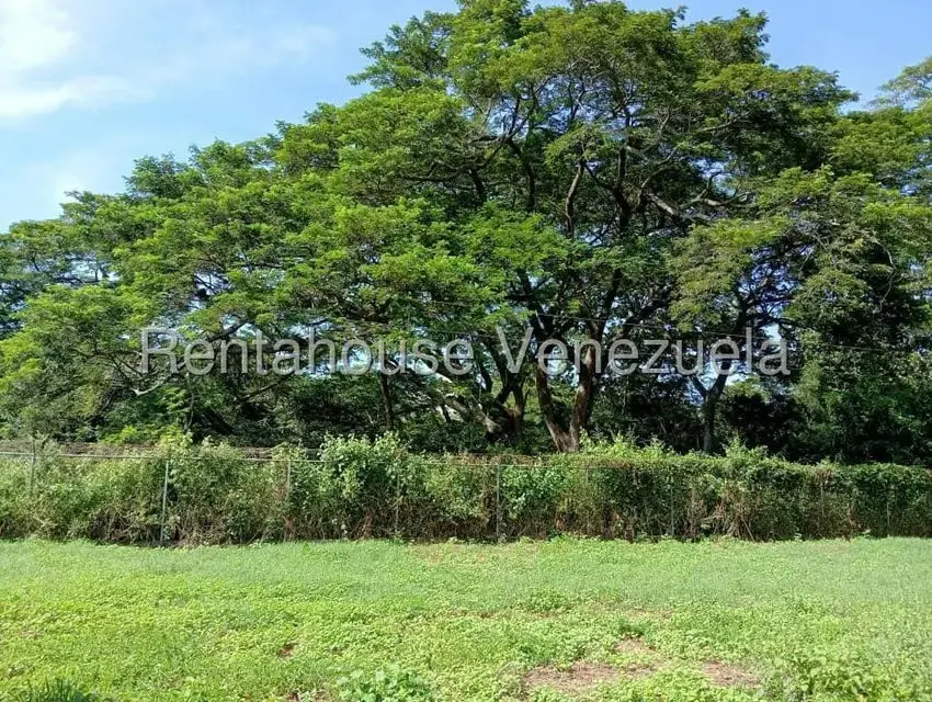 Terreno (Comercial) en Venta en Brisas de Jalisco, Trujillo - 27