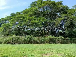 View 27