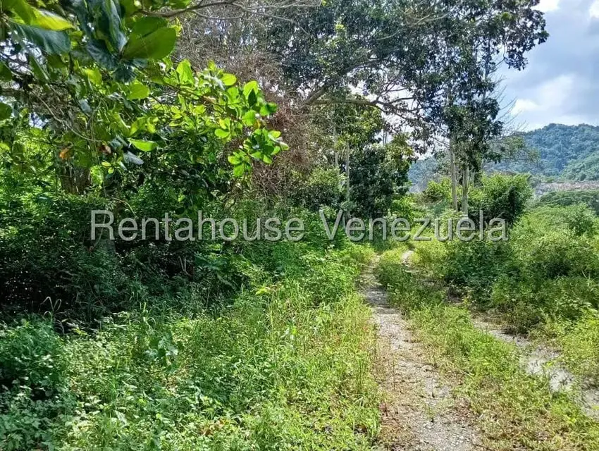 Terreno (Comercial) en Venta en Brisas de Jalisco, Trujillo - 4