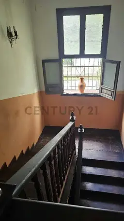 View 7