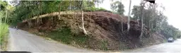 Vista 1