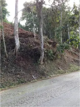 Vista 3