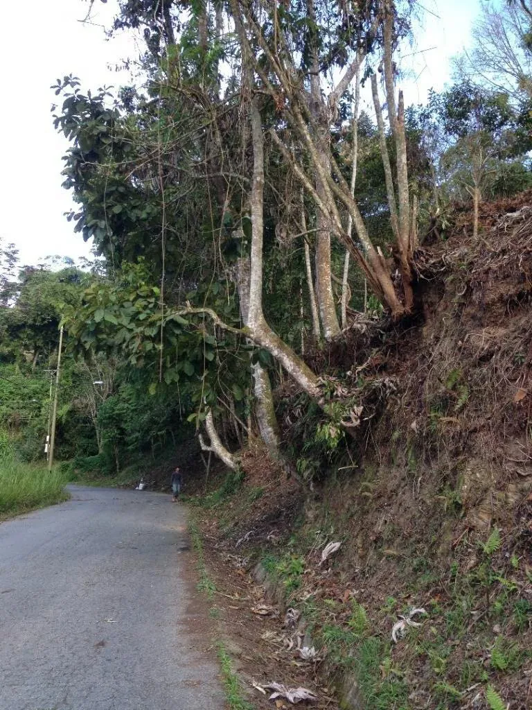 Venta de Exclusivo terreno en la Morita - 4