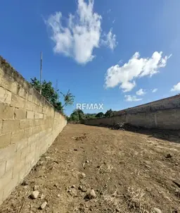 Vista 3