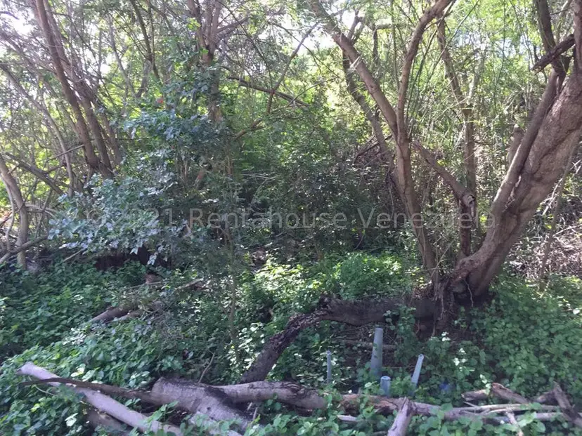 Terreno (Residencial) en Venta en Los Robles, Nueva Esparta