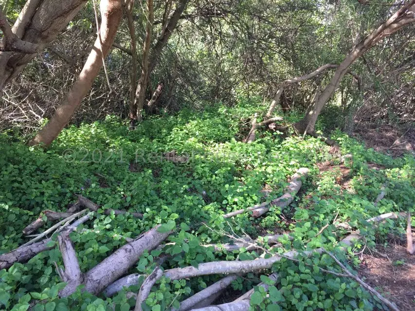 Terreno (Residencial) en Venta en Los Robles, Nueva Esparta - 3