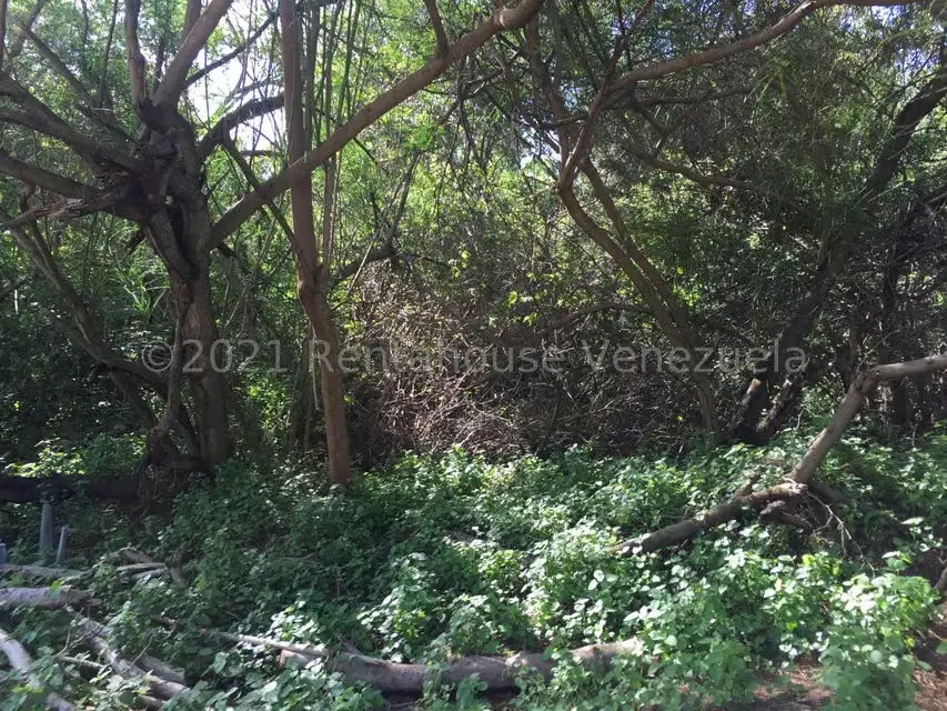 Terreno (Residencial) en Venta en Los Robles, Nueva Esparta - 9