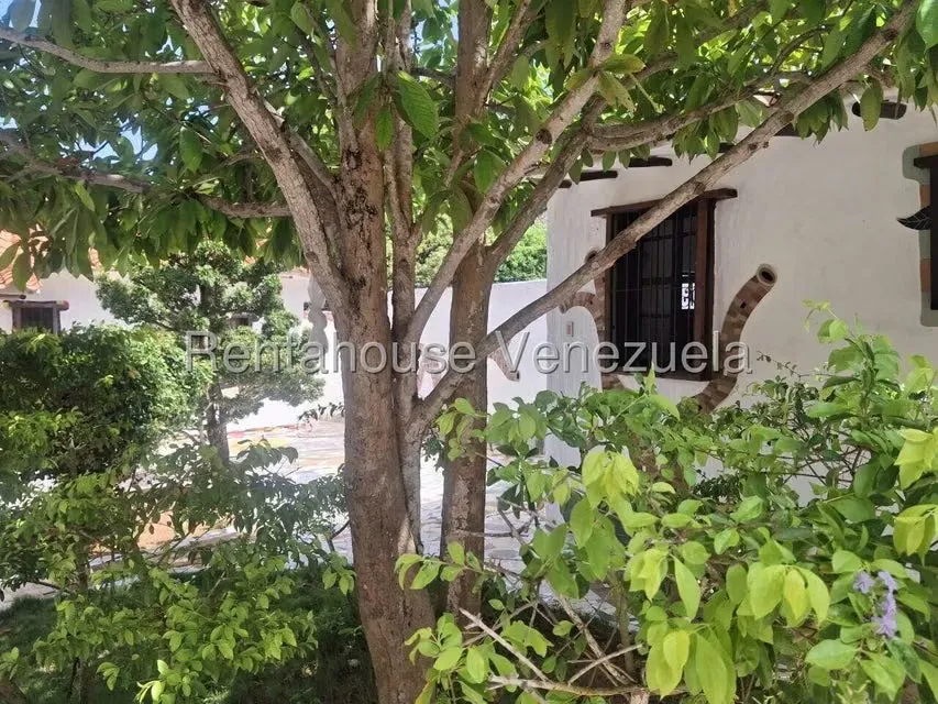 Comercial (Posada) en Venta en El Cardon, Nueva Esparta - 20